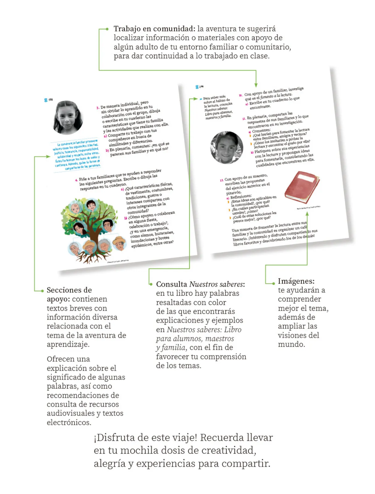 Página 7 de Proyectos Comunitarios.   Libro de Educación Primaria Grado 1°  Ciclo Escolar 2025 - 2026