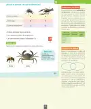 Miniatura página 90 de Ciencias Naturales – Segundo Básico | Texto del Estudiante MINEDUC – Descargar PDF · 2024