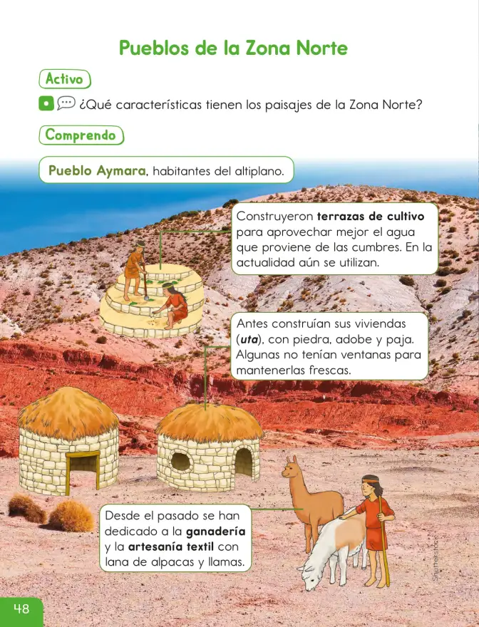 Página 50 de Historia, Geografía y Ciencias Sociales – Segundo Básico – Texto del Estudiante MINEDUC – Descargar PDF · 2024