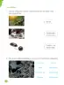 Miniatura página 62 de Ciencias Naturales – Primero Básico | Texto del Estudiante (MINEDUC) – Descargar PDF · 2024