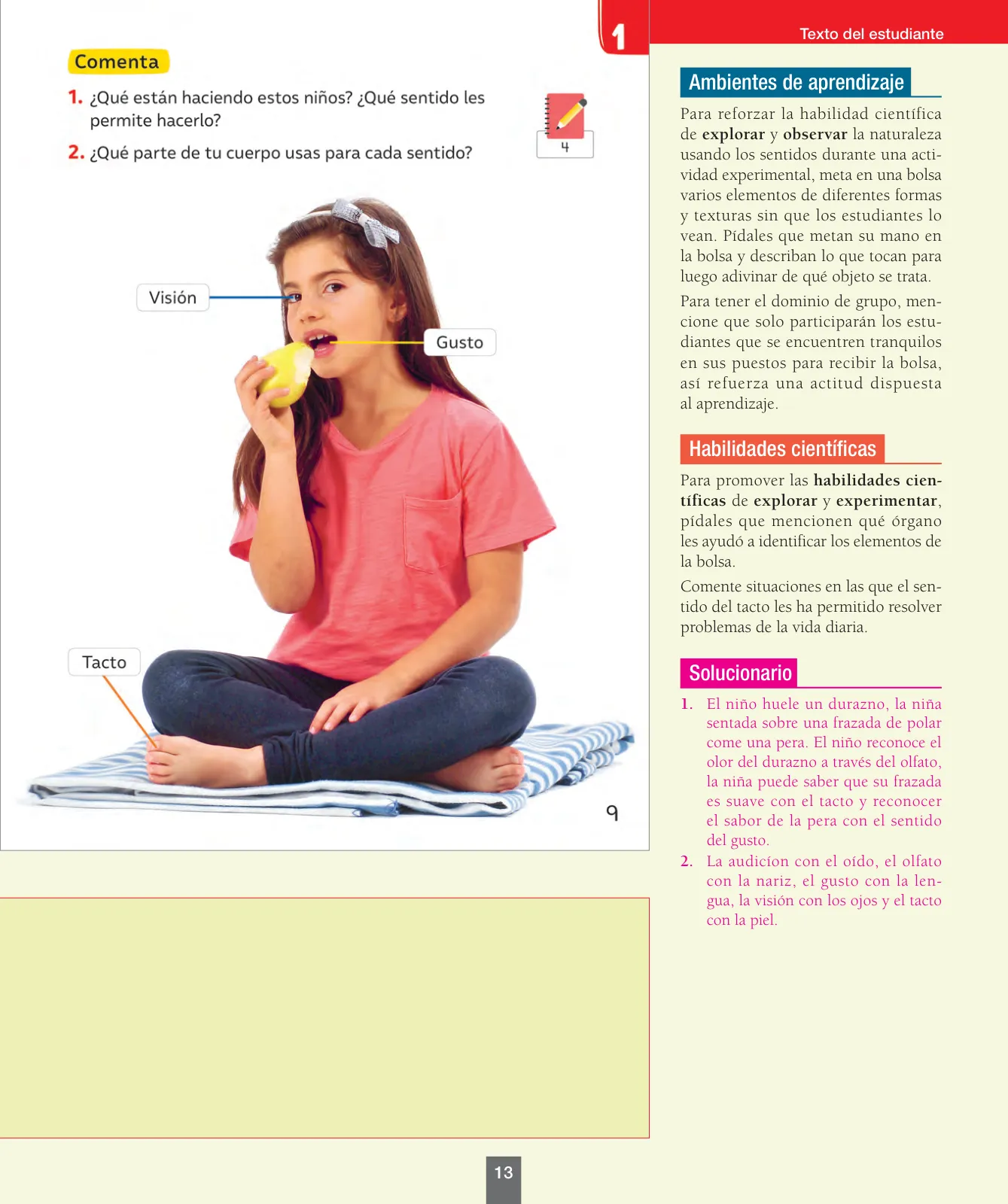 Página 14 de Ciencias Naturales – Primero Básico | Texto del Estudiante (MINEDUC) – Descargar PDF · 2024