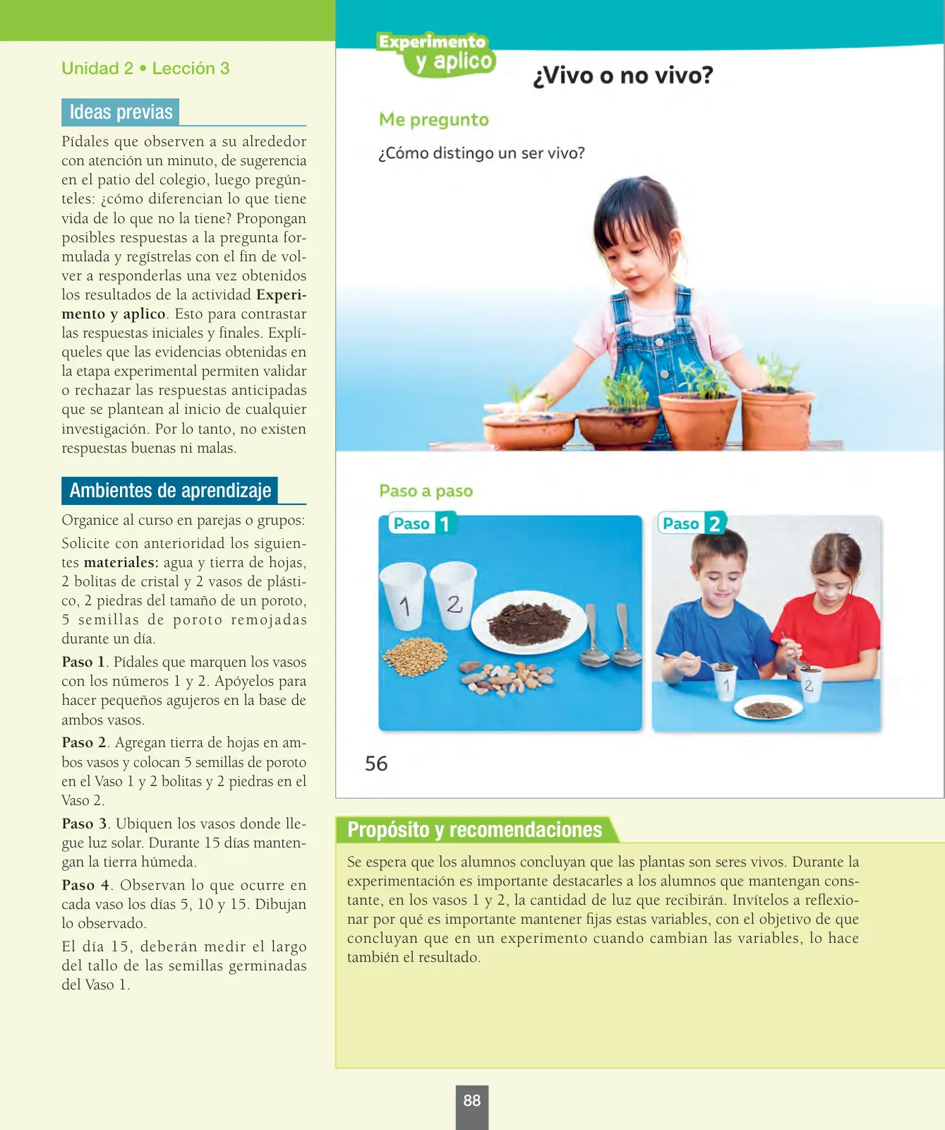 Miniatura página 89 de Ciencias Naturales – Primero Básico | Texto del Estudiante (MINEDUC) – Descargar PDF · 2024