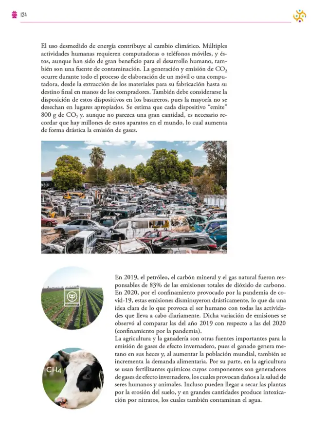 Página 125 de Colección Sk´asolil. Saberes y pensamiento científico. Libro de Educación Secundaria Grado 2° Ciclo Escolar 2025 - 2026
