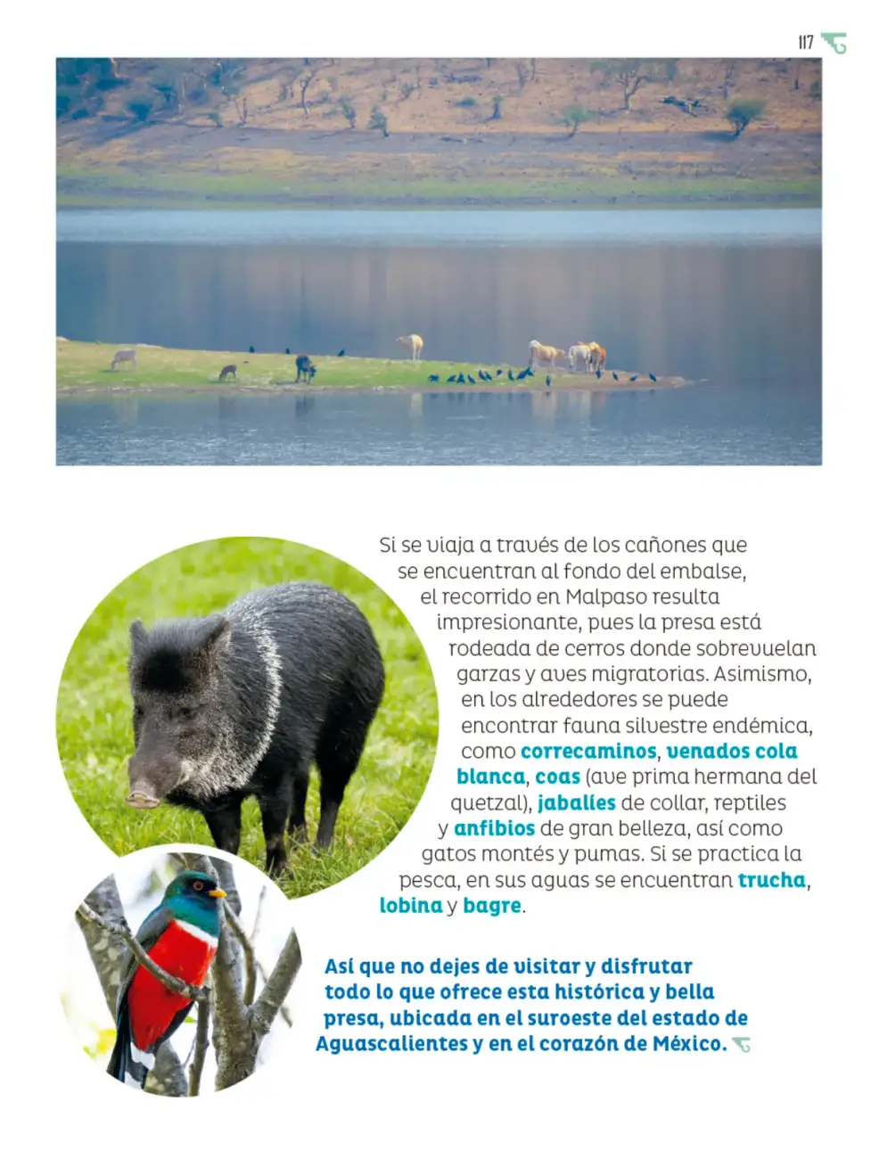 Página 118