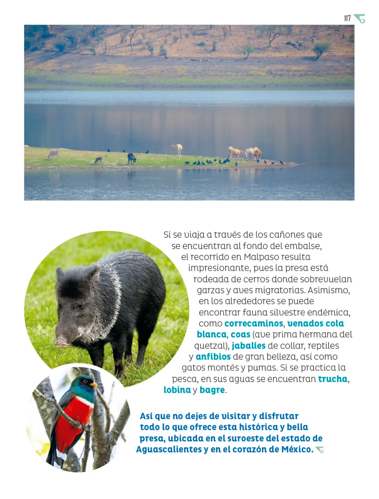 Pág 118