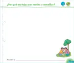 Pág 162