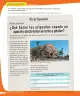 Miniatura página 267 de Matemática – Cuarto Básico | Texto del Estudiante MINEDUC – Descargar PDF · 2024