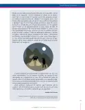 Miniatura página 231 de Lenguaje 7° · Secundaria Activa
