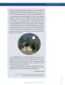 Miniatura página 231 de Lenguaje 7° · Secundaria Activa