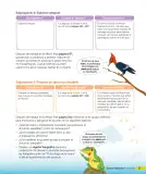 Miniatura página 38 de Ciencias Naturales – Tercero Básico | Texto del Estudiante MINEDUC – Descargar PDF · 2024