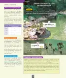Miniatura página 155 de Ciencias Naturales – Segundo Básico | Texto del Estudiante MINEDUC – Descargar PDF · 2024