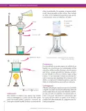 Miniatura página 106 de Ciencias Naturales 7° · Secundaria Activa