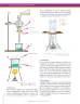 Miniatura página 106 de Ciencias Naturales 7° · Secundaria Activa
