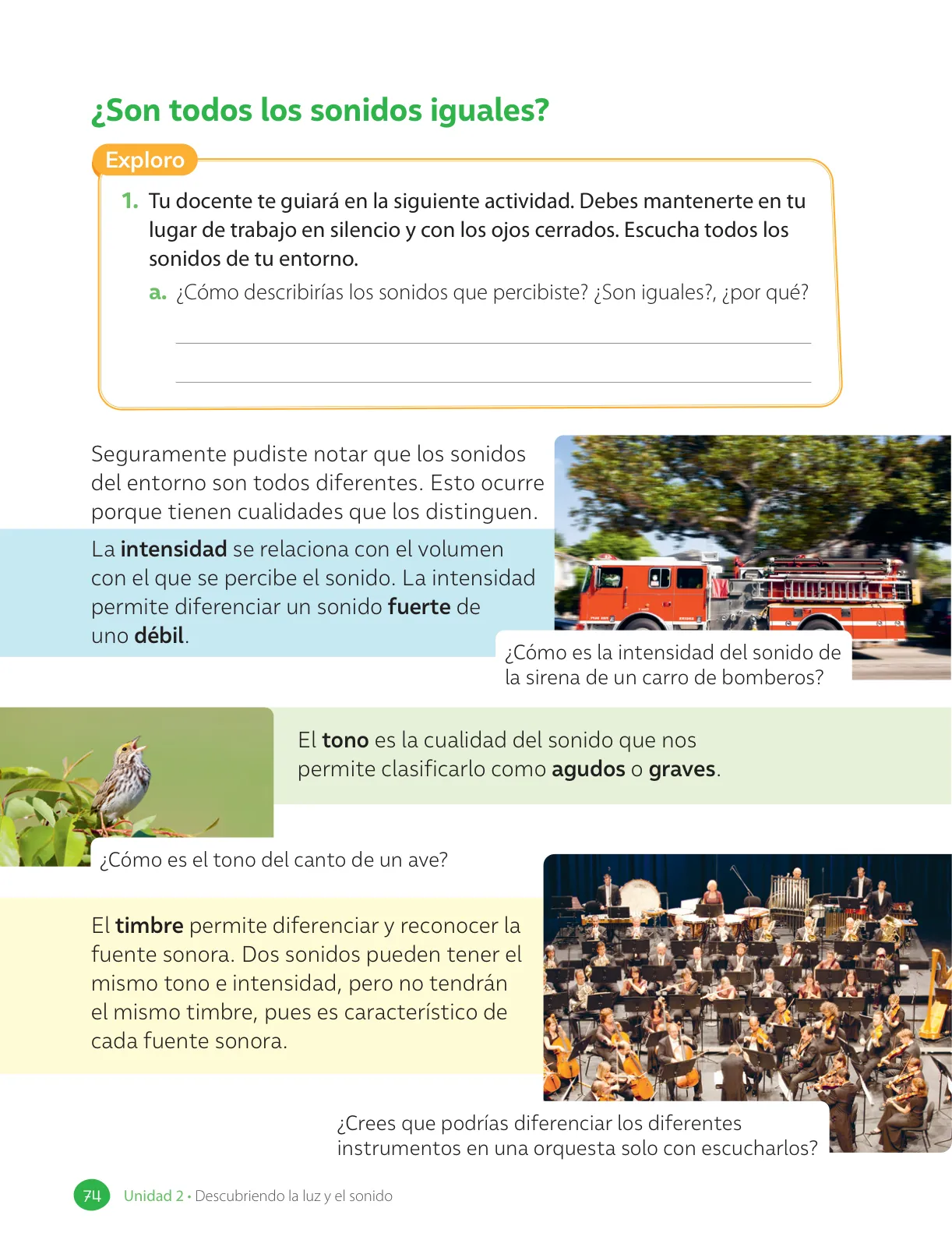 Miniatura página 76 de Ciencias Naturales – Tercero Básico | Texto del Estudiante MINEDUC – Descargar PDF · 2024