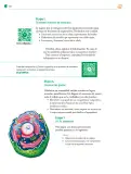 Miniatura página 139 de Colección Ximhai. Nuestro libro de Proyectos.  Tomo III.  Libro de Educación Telesecundaria Grado 1°  Ciclo Escolar 2025 - 2026