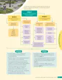Miniatura página 101 de Libro de Ciencias Naturales – Quinto Básico | Texto del Estudiante MINEDUC – Descargar PDF · 2024