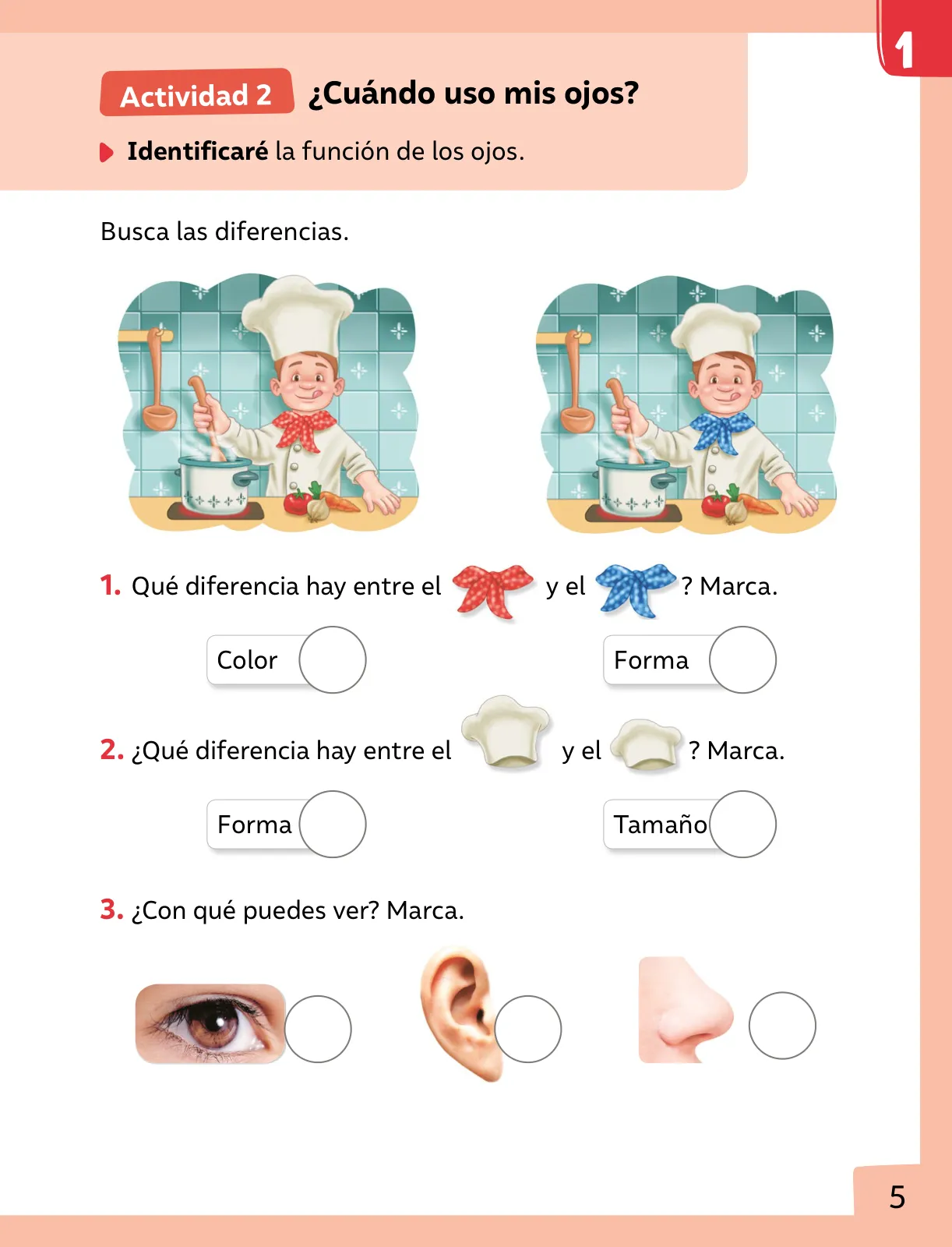 Página 6 de Ciencias Naturales – Primero Básico | Texto del Estudiante (MINEDUC) – Descargar PDF · 2024