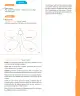 Miniatura página 30 de Lenguaje y Comunicación – Segundo Básico – Texto del Estudiante MINEDUC – Descargar PDF · 2024