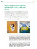 Miniatura página 231 de Colección Nanahuatzin. Lenguajes.   Libro de Educación Telesecundaria Grado 3°  Ciclo Escolar 2025 - 2026