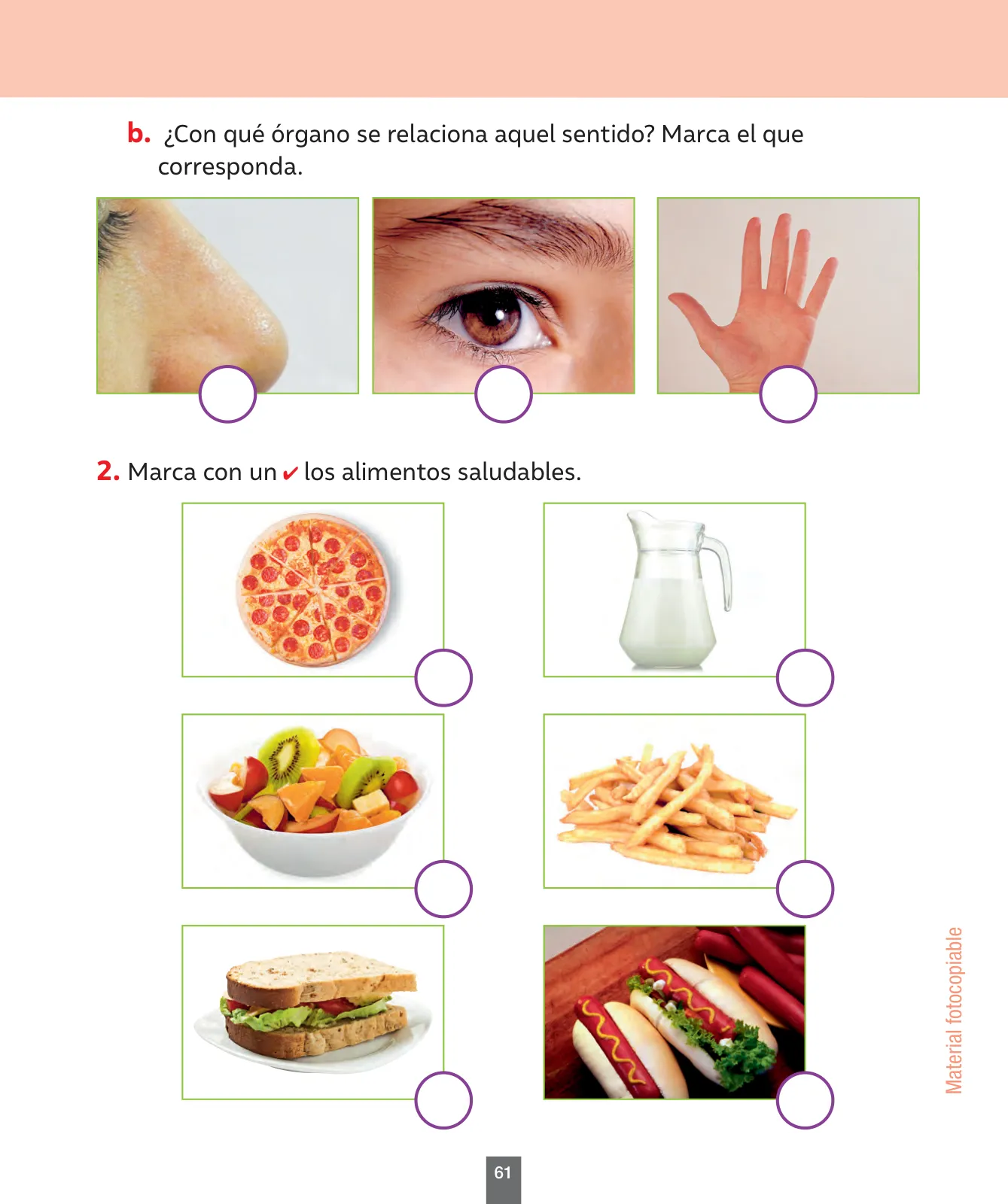 Miniatura página 62 de Ciencias Naturales – Primero Básico | Texto del Estudiante (MINEDUC) – Descargar PDF · 2024