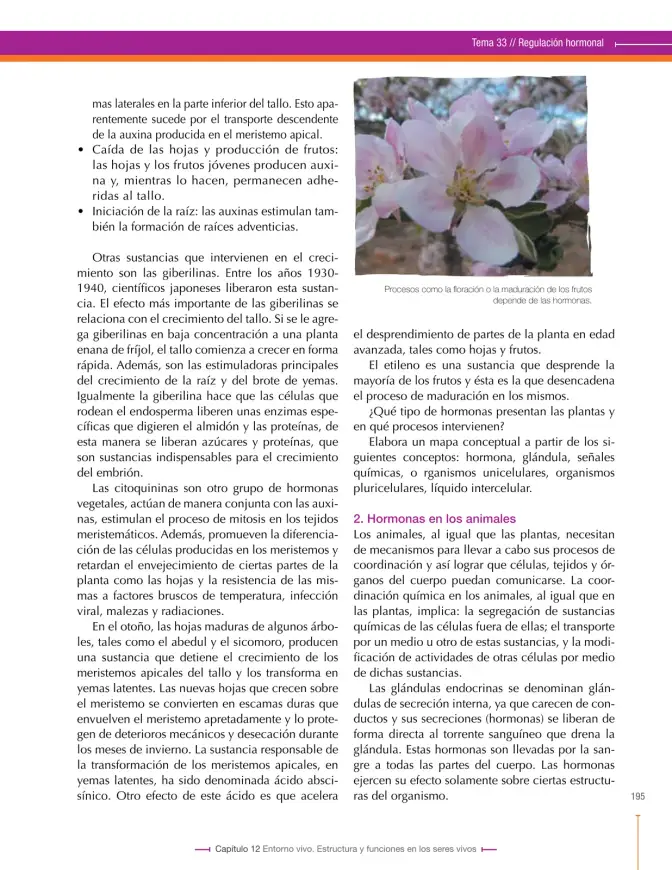 Página 195 de Ciencias Naturales 8° · Secundaria Activa