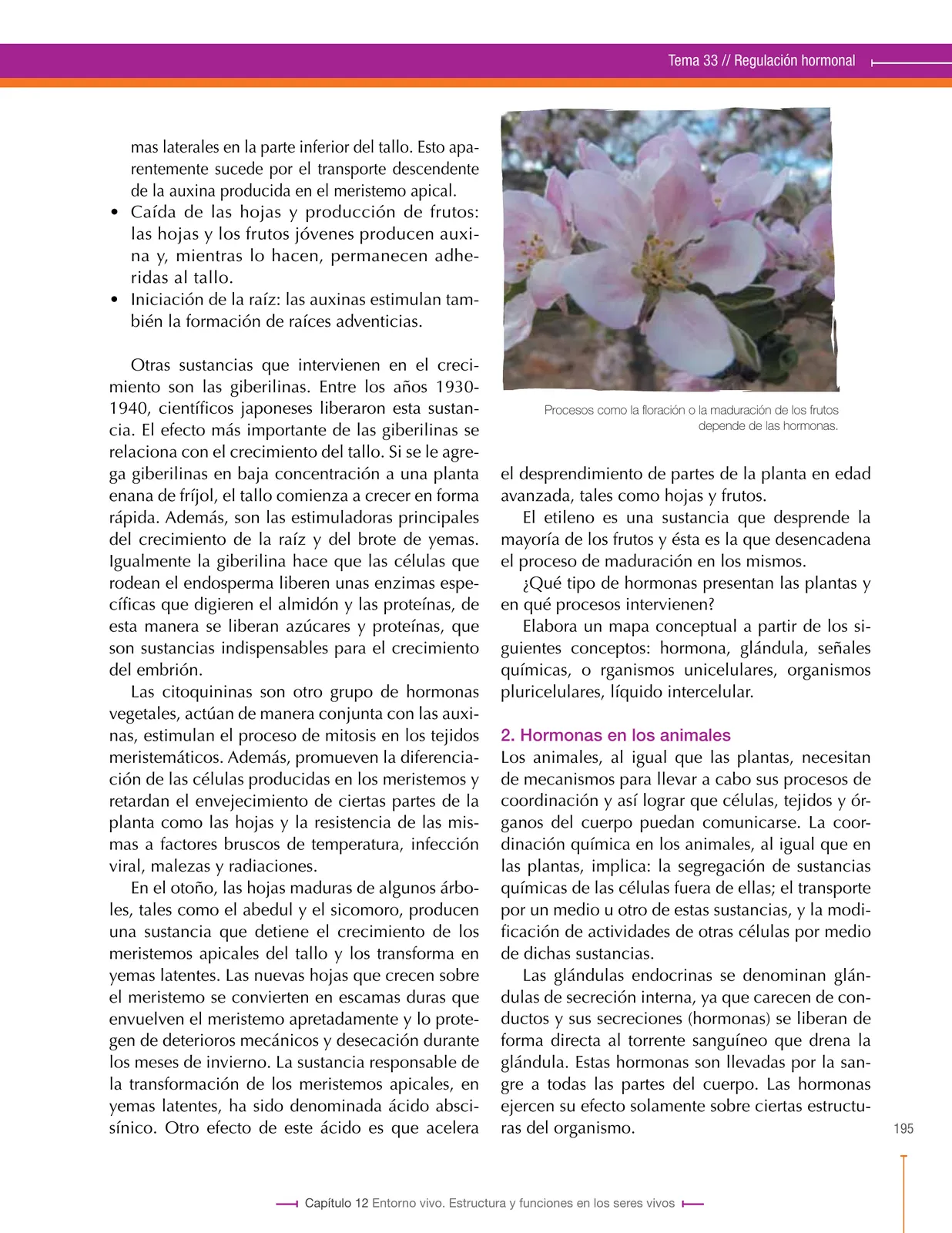 Miniatura página 195 de Ciencias Naturales 8° · Secundaria Activa