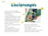 Miniatura página 61 de Múltiples lenguajes.   Libro de Educación Preescolar Grado 2°  Ciclo Escolar 2025 - 2026