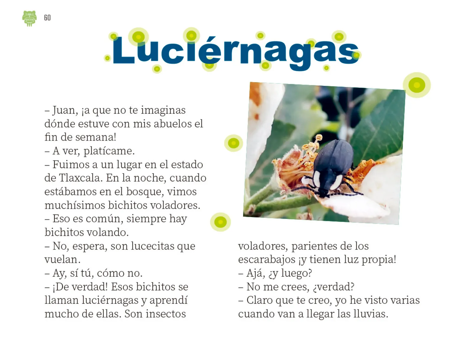 Miniatura página 61 de Múltiples lenguajes.   Libro de Educación Preescolar Grado 2°  Ciclo Escolar 2025 - 2026