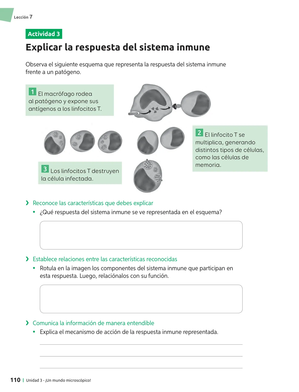 Página 111 de Ciencias Naturales – Séptimo Básico | Texto del Estudiante MINEDUC – Descargar PDF · 2024