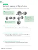 Miniatura página 111 de Ciencias Naturales – Séptimo Básico | Texto del Estudiante MINEDUC – Descargar PDF · 2024