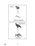 Miniatura página 110 de Libro de Ciencias Naturales – Quinto Básico | Texto del Estudiante MINEDUC – Descargar PDF · 2024