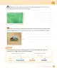 Miniatura página 183 de Matemática – Tercero Básico | Texto del Estudiante MINEDUC – Descargar PDF · 2019