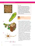 Miniatura página 32 de Ciencias Naturales 6° · Secundaria Activa