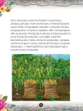 Miniatura página 78 de Llaqtanchikpa kawsayninkuna - Chanka. Saberes de los pueblos 1 - 1° Secundaria - Quechua chanka · 2023