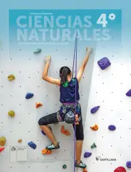 Portada de Ciencias Naturales – Cuarto Básico | Texto del Estudiante MINEDUC – Descargar PDF · 2024