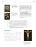 Miniatura página 258 de Colección Nanahuatzin. Lenguajes.   Libro de Educación Telesecundaria Grado 3°  Ciclo Escolar 2025 - 2026