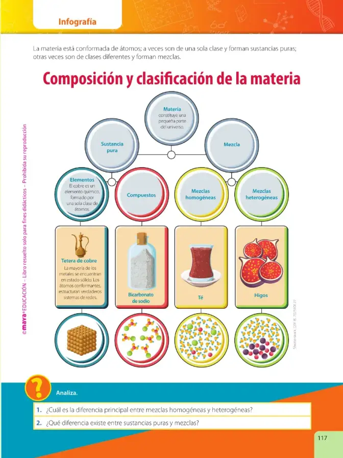 Página 119 de Ciencias Naturales 6° · Egb 6 Ciencias Naturales 2025 · 2025