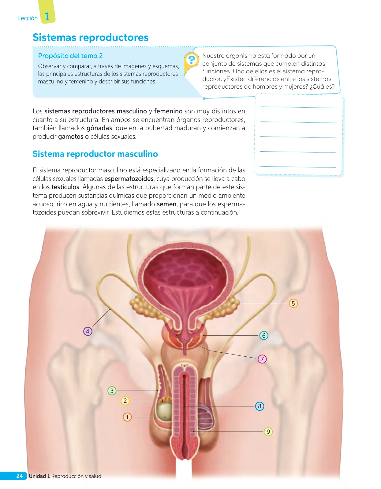 Página 101 de Libro de Ciencias Naturales – Quinto Básico | Texto del Estudiante MINEDUC – Descargar PDF · 2024