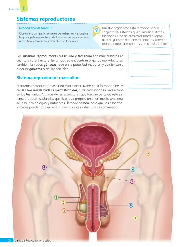 Página 101 de Libro de Ciencias Naturales – Quinto Básico | Texto del Estudiante MINEDUC – Descargar PDF · 2024