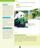 Miniatura página 93 de Ciencias Naturales – Primero Básico | Texto del Estudiante (MINEDUC) – Descargar PDF · 2024