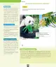Miniatura página 93 de Ciencias Naturales – Primero Básico | Texto del Estudiante (MINEDUC) – Descargar PDF · 2024