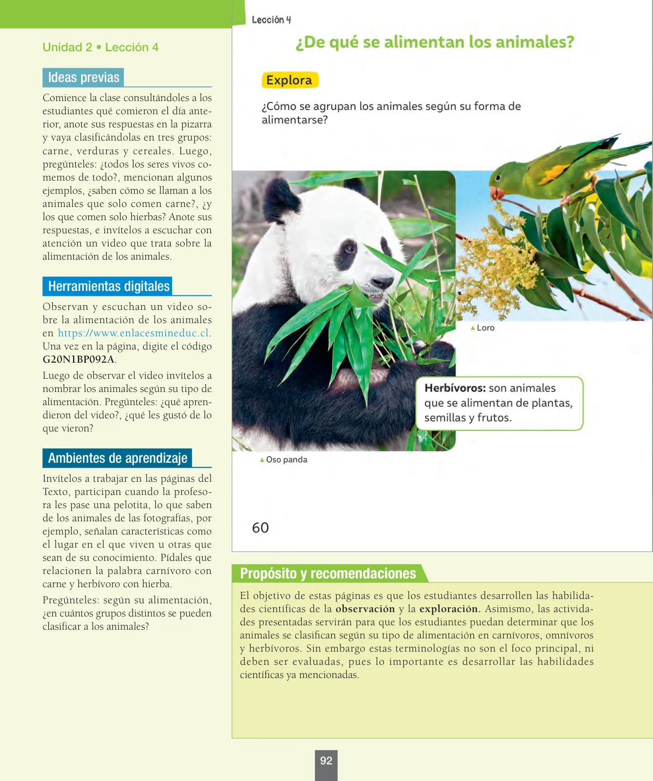 Miniatura página 93 de Ciencias Naturales – Primero Básico | Texto del Estudiante (MINEDUC) – Descargar PDF · 2024
