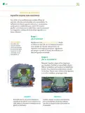 Miniatura página 229 de Colección Sk´asolil. Nuestro libro de Proyectos.  Tomo II.  Libro de Educación Telesecundaria Grado 2°  Ciclo Escolar 2025 - 2026