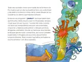 Miniatura página 96 de Múltiples lenguajes.   Libro de Educación Preescolar Grado 2°  Ciclo Escolar 2025 - 2026