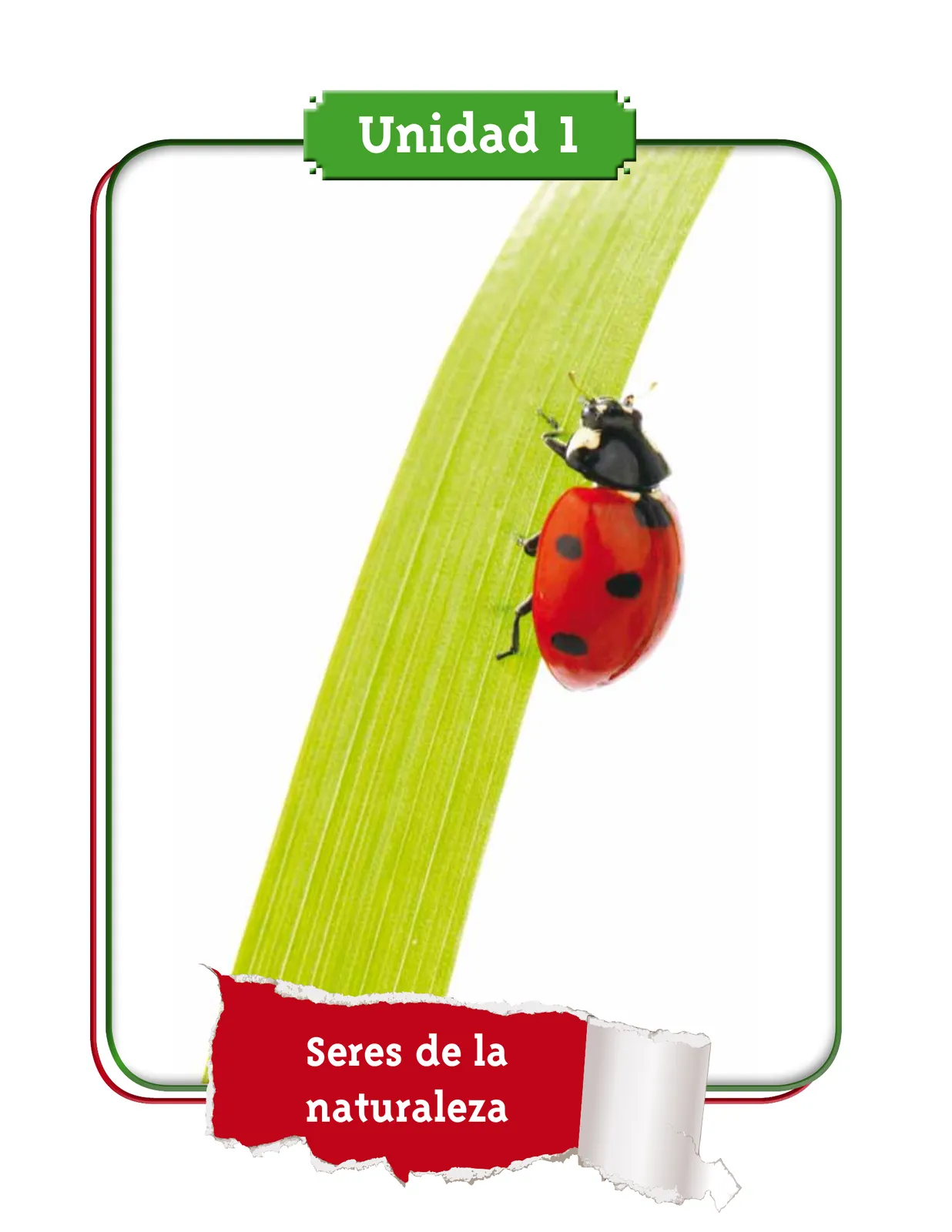 Miniatura página 7 de Ciencias Naturales 2° · Cartilla 01