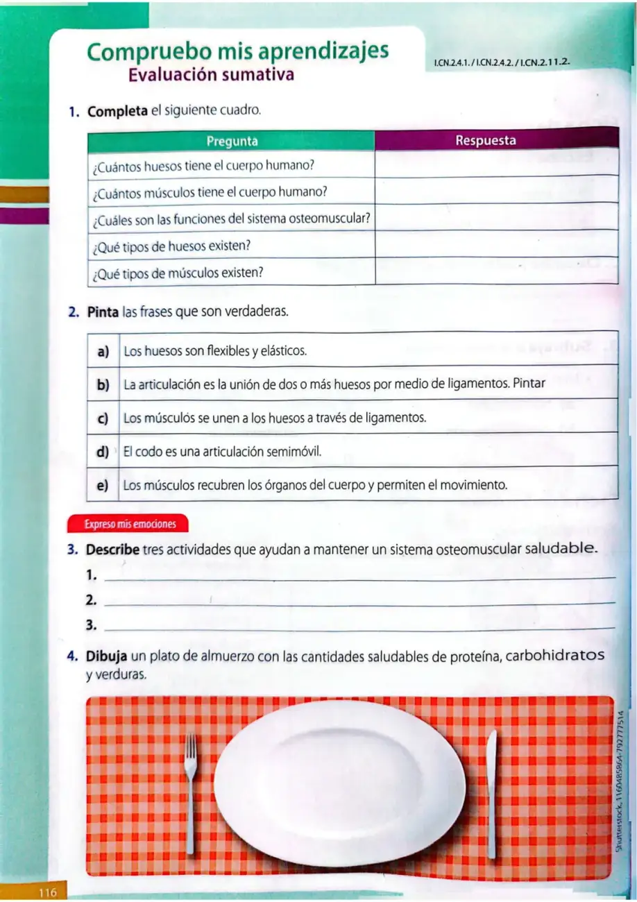Página 113