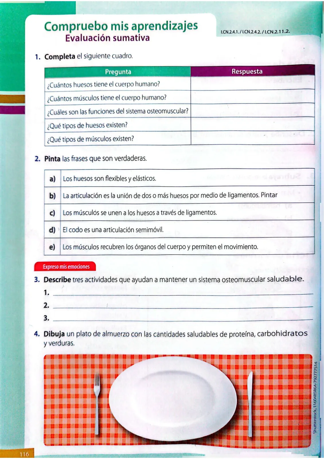Página 113