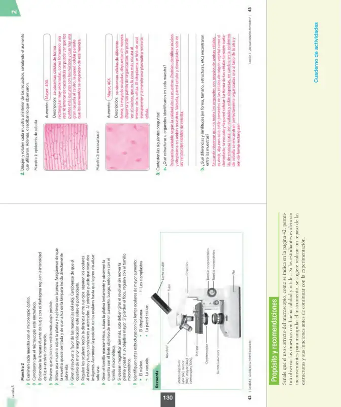 Página 131 de Ciencias Naturales – Octavo Básico | Texto del Estudiante MINEDUC – Descargar PDF · 2024