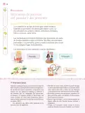 Miniatura página 13 de Nuestros saberes: Libro para alumnos, maestros y familia.   Libro de Educación Primaria Grado 3°  Ciclo Escolar 2025 - 2026