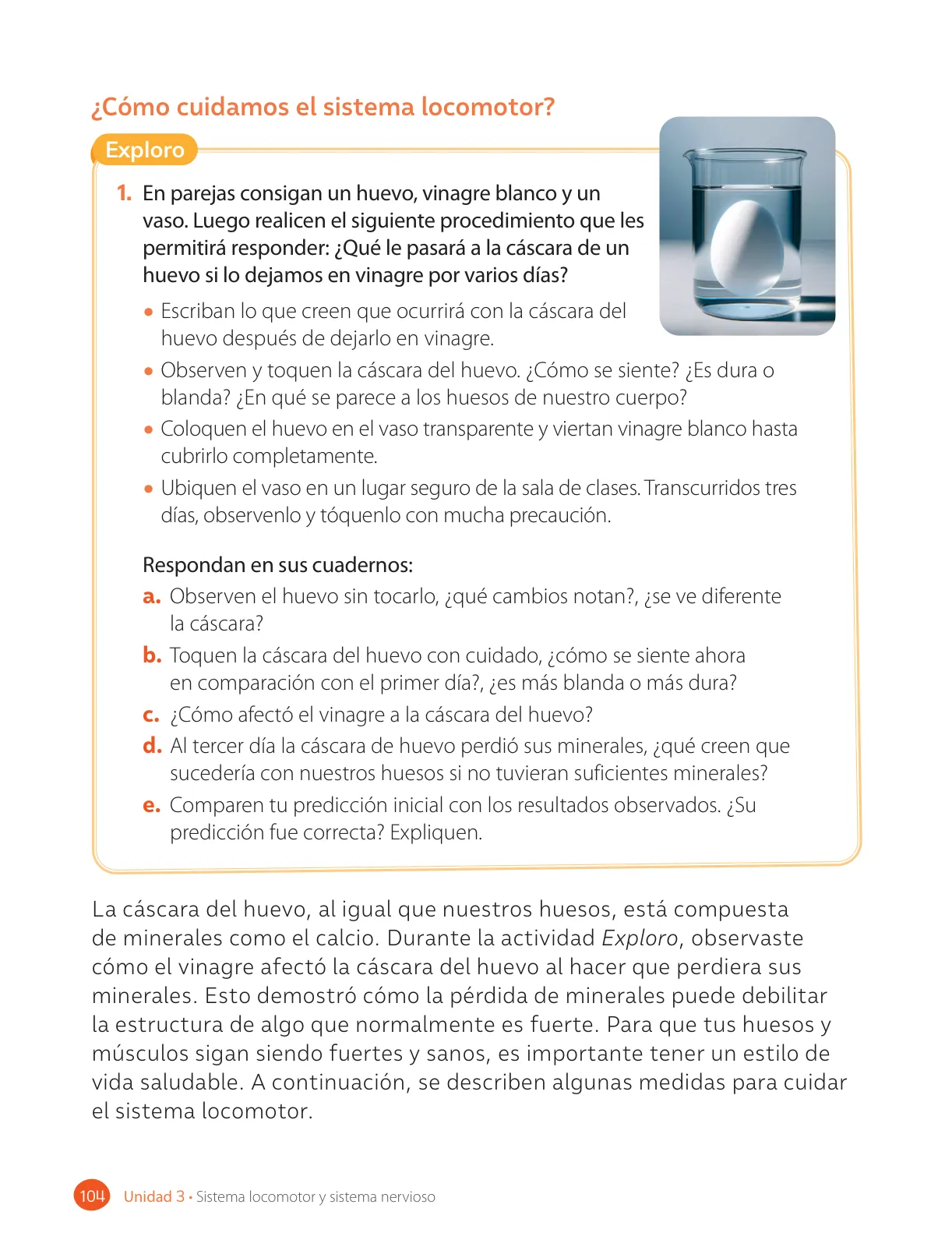 Miniatura página 106 de Ciencias Naturales – Cuarto Básico | Texto del Estudiante MINEDUC – Descargar PDF · 2024